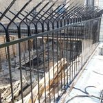 مجتبی امارلویی