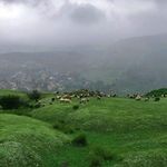 روستای سنگ چال
