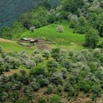 روستای سنگ چال