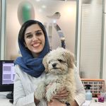 کلینیک دامپزشکی درمان