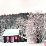 مشاورین املاک اقلیم