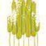 مشاورین املاک اقلیم