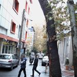 کلنیک دندانپزشکی سرشار