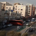شیرینی نهال