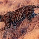 پارک ملی بمو