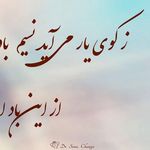 دکتر سیما چنگیز متخصص دندانپزشکی کودکان