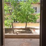 خانه تاریخی دکتر قاسم خان اهری