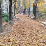 سرویس بهداشتی بوستان شفق