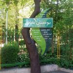 سرویس بهداشتی بوستان شفق