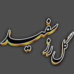 گل رز سفید