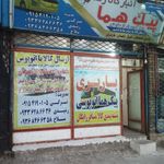 باربری پیک هما