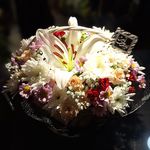 گلفروشی متانویا