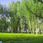 روستای اسبفروشان