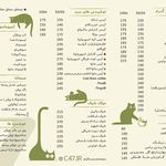 کافه فور سون