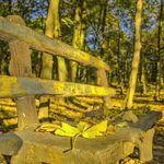 پارک جنگلی میرزا کوچک خان