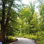 پارک جنگلی میرزا کوچک خان