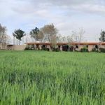 باشگاه سوارکاری امیدان