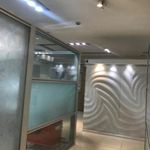 دندانپزکی فروردین