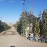 مجتمع تولیدی خدماتی گلیران