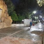 پارک ولیعصر