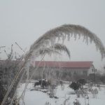 هتل عصر طلایی