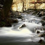 رودخانه زشک