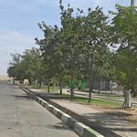 بوستان ولایت