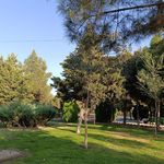 بوستان ولایت