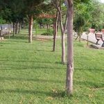 بوستان ولایت