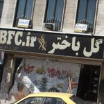 گل باختر