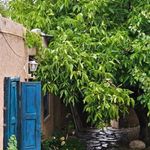 اقامتگاه بومگردی هما تاج