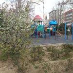 بوستان بهاره