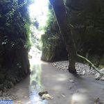 روستای رزکه