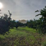 هتل قصر بوتانیک