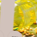 فست فود دایی