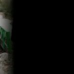 وارد کننده ی دوربین های مداربسته ویتنس