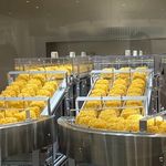 کارخانه مواد غذایی نودالیت و ادویه