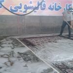 قالیشویی گل نگار (شعبه تهران)