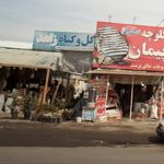 گل و گیاه محلات