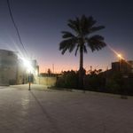 مسجد قائم آل محمد  