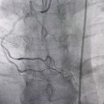 دکتر ناصر سعادت