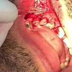 مركز ايمپلنت و زيبايى دکتر آنيتا کاظمى