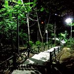 پارکینگ خطی پارک طالقانی