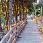 پارکینگ خطی پارک طالقانی