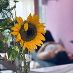 سالن سیمای زیبا