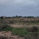 پل تاریخی کوت سید صالح