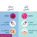دکتر فرزانه درویش زاده