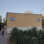 سرویس بهداشتی
