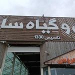 گل و گیاه ساحل