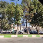 ساتر سبز